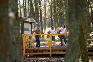 11 įdomių faktų apie vietinį turizmą