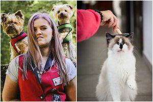 Benamių gyvūnų gelbėtojai prakalbo apie jautrias gyvenimo patirtis