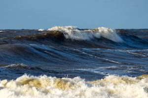 Baltijos jūros pakrantėje rasti du negyvi ruoniai