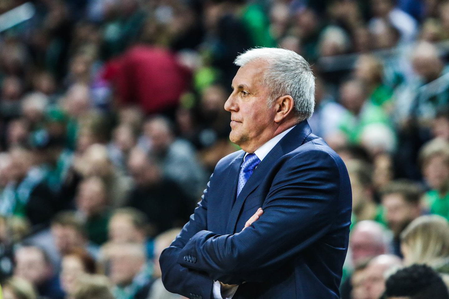 Ž.Obradovičius.<br> G.Bitvinsko nuotr.