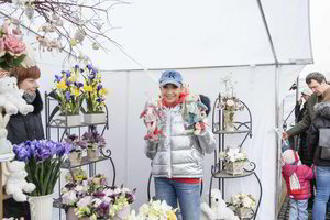 „TV pagalbos“ žvaigždė Gerda Žemaitė atskleidė, ko ieškojo Kaziuko mugėje