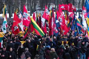 Gedimino prospektu žygiavo didžiulė minia, tautininkai įsivėlė į konfliktą su Vyriausybe