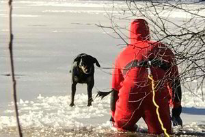 Gerumo pavyzdys: Tauragės ugniagesiai iš mirties nasrų ištraukė šunį