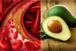 Nustebsite sužinoję, kodėl reikia liautis valgyti avokadus