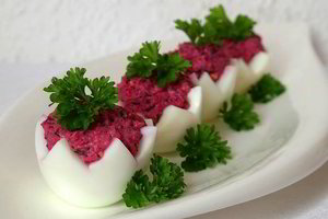 Tunu ir burokėliais įdaryti kiaušiniai – kas ragavo, tiems patiko 