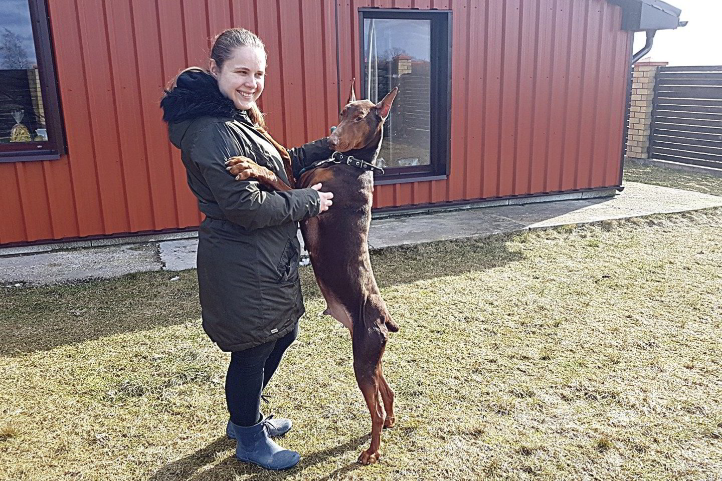 Pasak E.Mulevičiūtės, Ramzis – puikus šuo ir grėsmės nebekelia.<br>G.Butkienės nuotr.