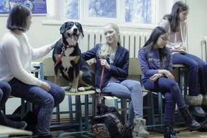 Mokinių bendradarbiavimo įgūdžius stiprina šunų terapijos užsiėmimai