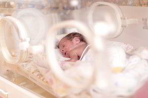 Šiaulių ligoninė paaiškino, dėl ko mirė ką tik gimęs kūdikis