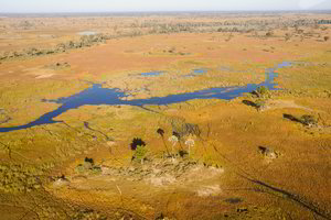 Pasigrožėkite: įspūdingiausi Afrikos nacionaliniai parkai