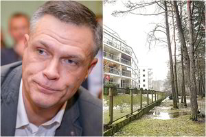 Virstančios pušys tvojo Vilniaus vicemerui Linui Kvedaravičiui