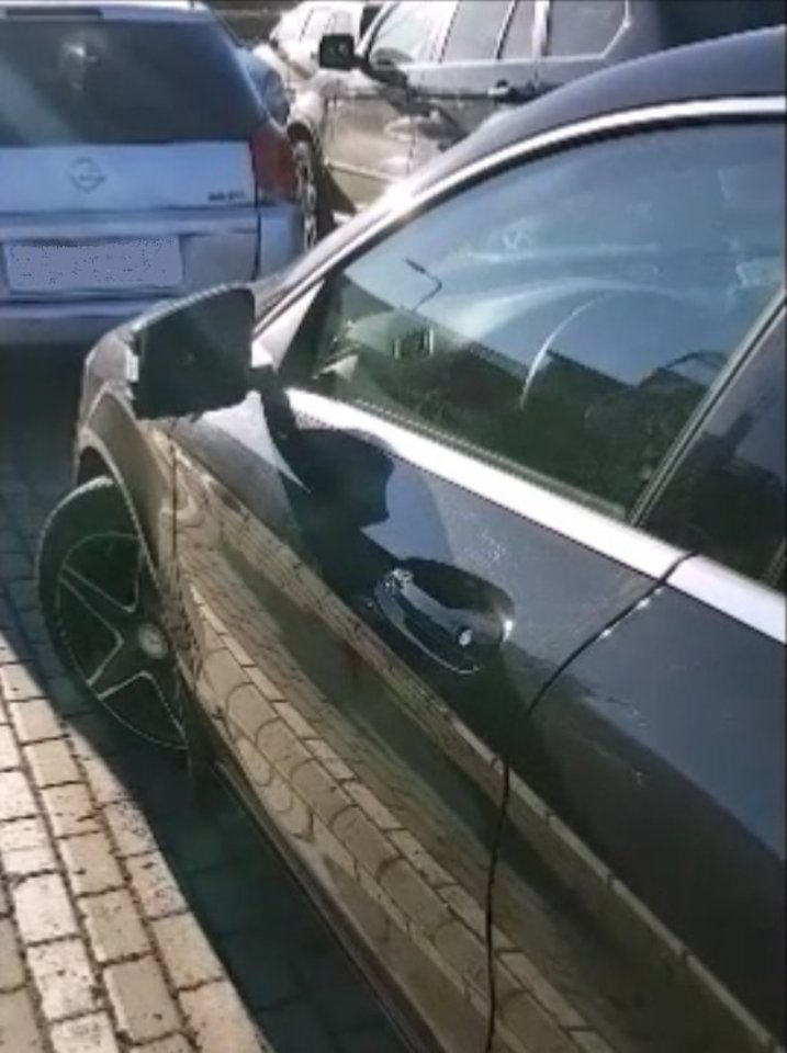  Kriminalistams su įkalčiais įkliuvo automobilių veidrodėlių vagis.<br> Lietuvos policijos nuotr.