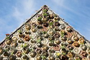 Galima ir taip: žavaus namuko fasadas verčia gręžiotis praeivius