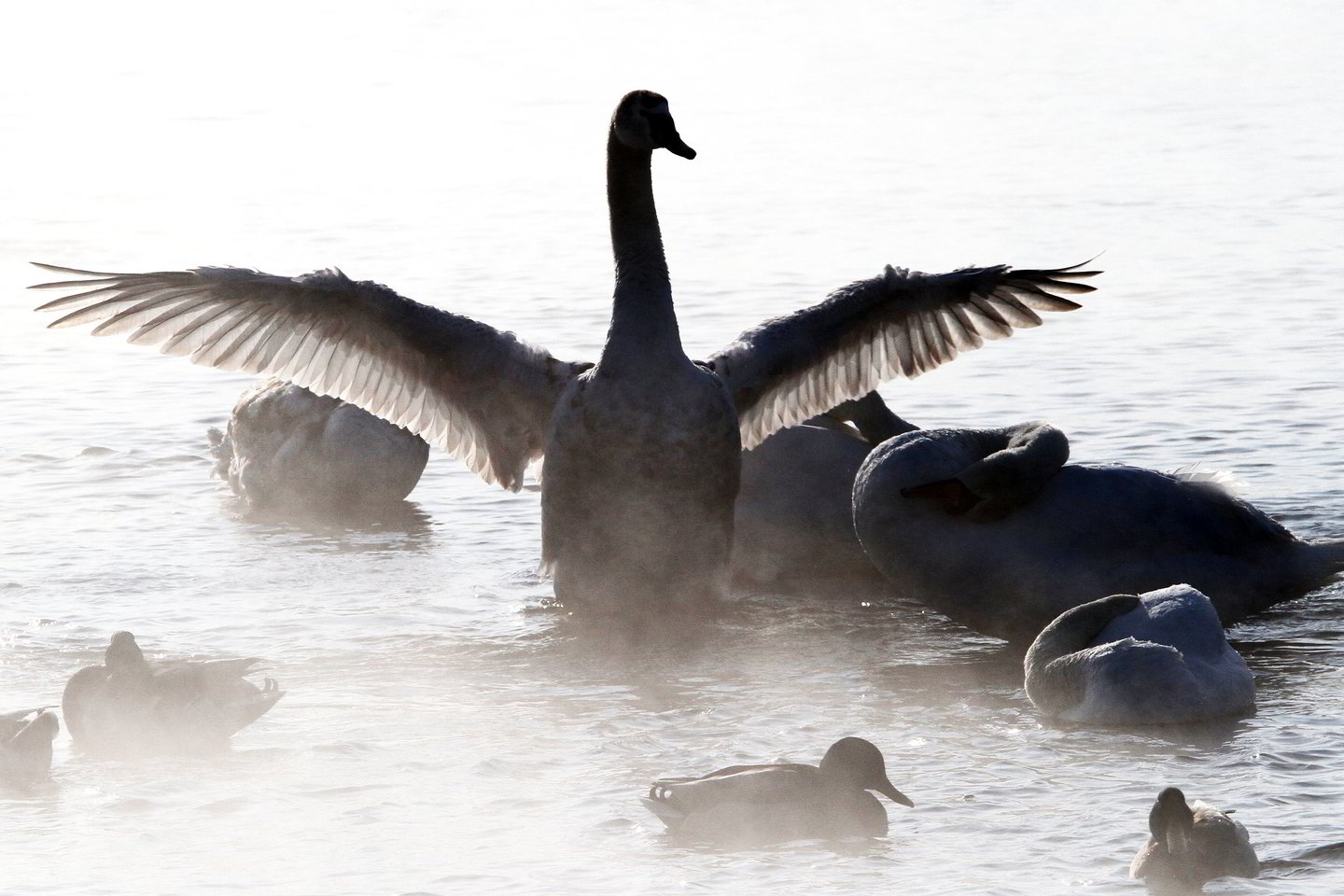 Klimato kaita pasaulyje sukelia vis ekstremalesnius gamtos reiškinius.<br>M.Patašiaus nuotr.