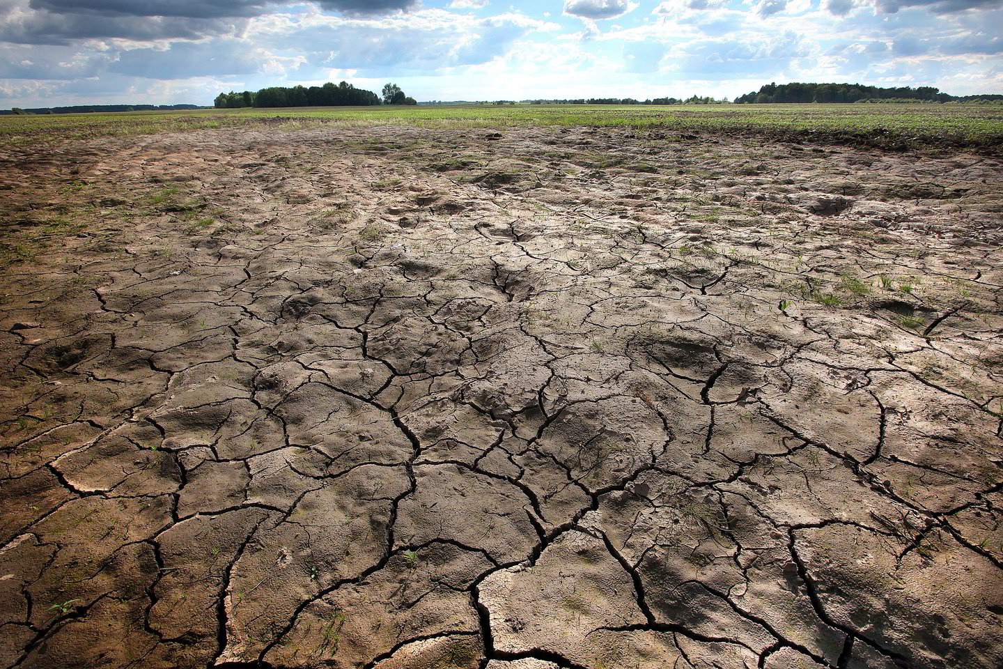 Klimato kaita pasaulyje sukelia vis ekstremalesnius gamtos reiškinius.<br>Lrytas.lt nuotr.