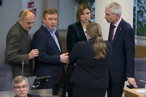 Kaimo reikalų komitetas vėl svarstys opozicijos idėją tirti žemės plotų įsigijimus