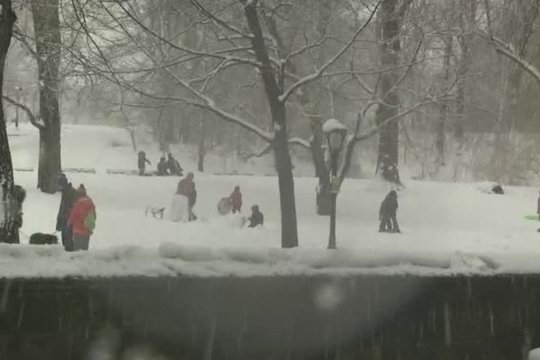 JAV rytinę pakrantę užklupo pūgos