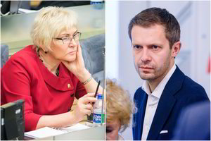Valstietė eilėmis apie A. Tapino protestą sužibėjo feisbuke, šis kirto jai atgal