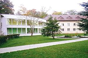 Plauti pinigus galima brangiais tvarsčiais