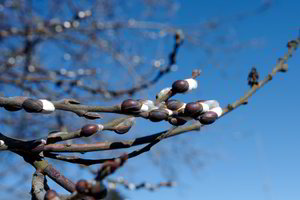 Pavasariškas savaitgalis: atkeliauja sausi, saulėti ir šilti orai