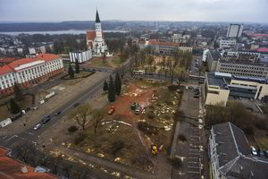 Dviejų miestų gyventojams dėl medžių plyšta širdis