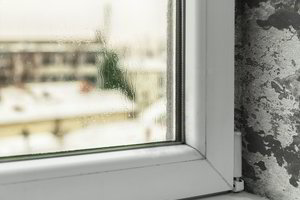 Auksinis patarimas, kaip kartu su pelėsiu panaikinti ir jo kvapą