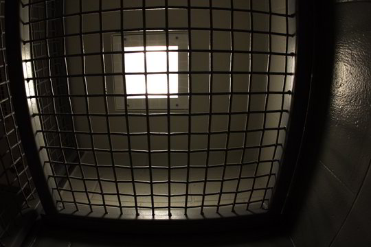 Girta latvė "Akropolyje" pasijuto nematoma