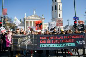 Šimtai žmonių Vilniuje pasisakė prieš kailinių žvėrelių išnaudojimą