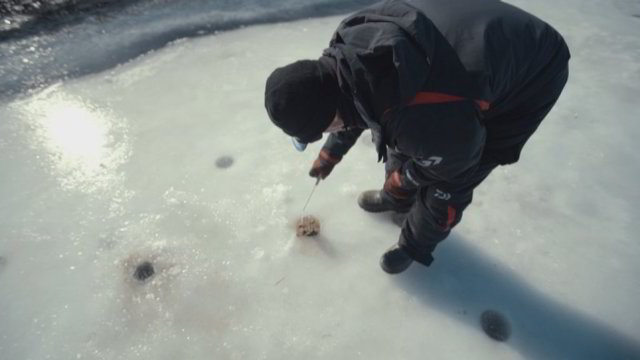 Pavasarinė aukšlių žūklė iš po ežero ledo 