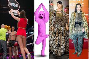 Rožiniui pudeliui šią savaitę užkliuvo M. Petruškevičiaus viešnia ir bušido mergaitės