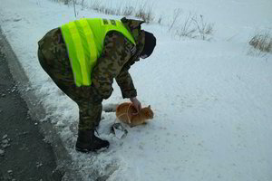 Nedorėliai žiauriai pasityčiojo iš katino, o lenkų pareigūnai – išgelbėjo