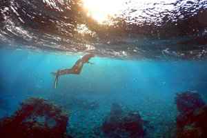 Mokslininkai rado būdą, kaip išgelbėti nykstantį Didįjį barjerinį rifą