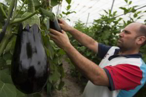 Badaujančią šeimą išmaitinti norėjęs vagis po teismus užtampytas beveik dešimtmetį