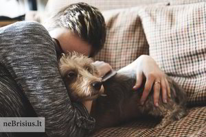 Merginos gerumui ribų nėra: mažame bute – su trimis katinais ir šunimi