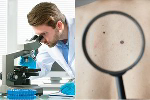 Gali tekti perrašyti anatomijos knygas – atrastas naujas organas