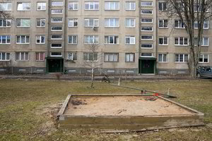 Kėdainiečių galvos skausmas – smėlio dėžę užėmusios katės