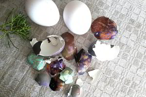 Moteris iš velykinių kiaušinių lukštų puošia namus – pamatę ir jūs užsinorėsite 