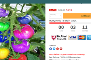 Spalvoti pomidorai – lietuviai neatsispiria keistiems eksperimentams  