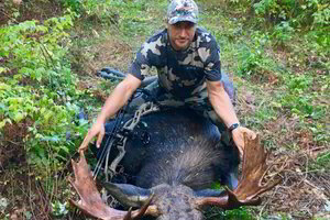 D. Zubrus po baigtos profesionalo karjeros rado laiko neįprastoms veikloms