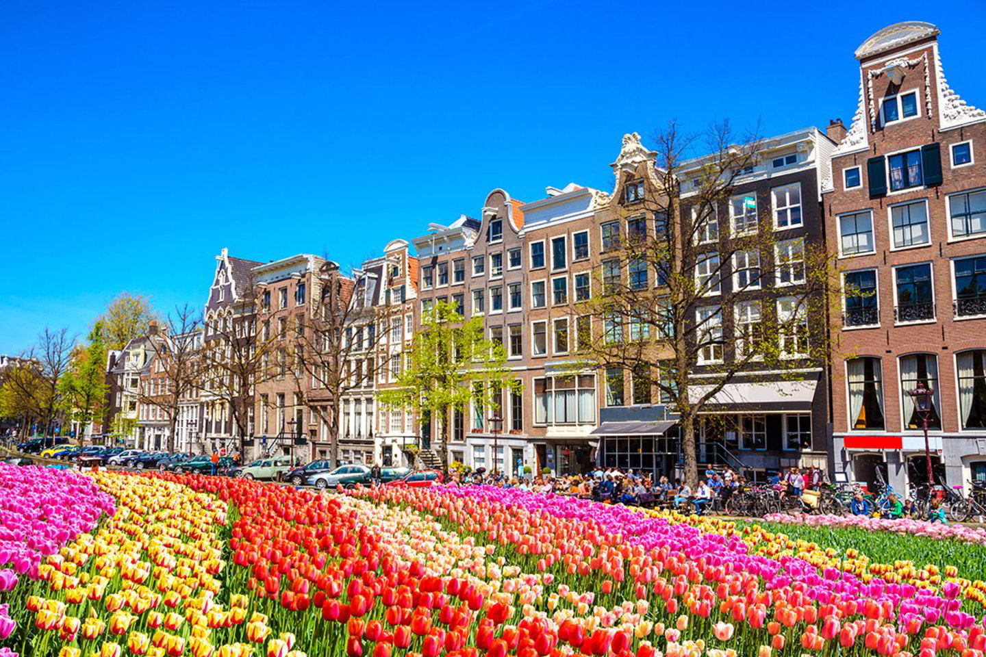 Amsterdamas<br> Shutterstock nuotr.