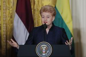 D. Grybauskaitė: dėl prekybos karų kentės paprasti žmonės, ne politikai