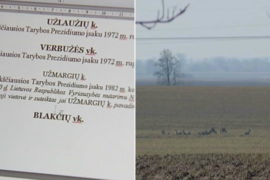 Nykstanti Lietuva: pernai iš žemėlapių išnyko 32 kaimai