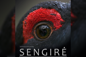 Įspūdžiai iš „Sengirės“: truputis palengvėjimo ir truputis nusivylimo