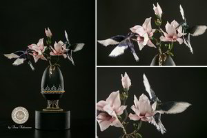 Savamokslė lietuvė nušluostė nosį profesionalams iš viso pasaulio