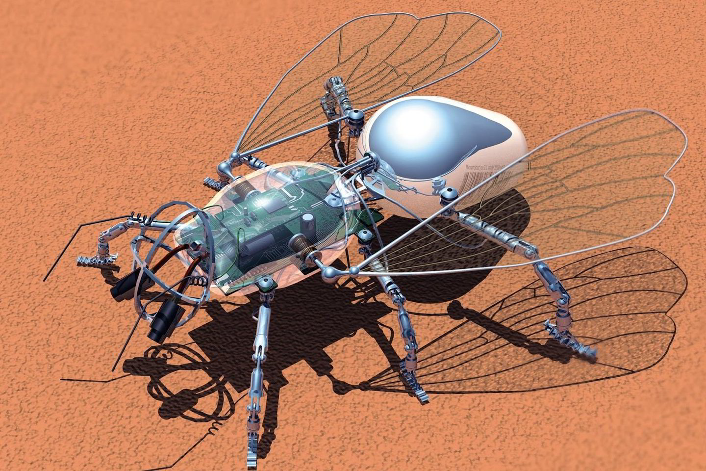  Paskirta 125 000 dolerių suma, už kuri1 turės būti sukurtas bičių-robočių spiečius. Jos galės skraidyti retoje Marso atmosferoje ir jutikliais rinkti informaciją. (Asociatyvinė iliustr.)<br> Aminalg iliustr.