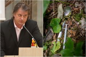 Ministerija sutrikusi: profesorius siūlo narkomanų negydyti, leisti jiems mirti