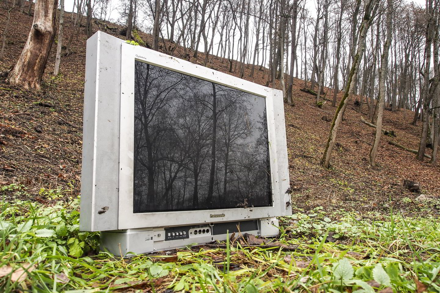  Vieni televizorius sudaužo, kiti išveža į mišką. <br> V.Ščiavinsko asociatyvi nuotr. 