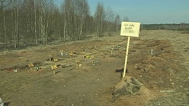 Valdžios aplaidumo pavyzdys: Vilniaus gyvūnų kapinėse – chaosas