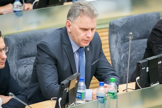 Seimo Konstitucijos komisijos pirmininkas abejoja, ar tokios komisijos reikia