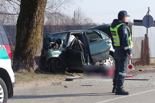 Klaipėdos r. į medį rėžėsi „Mercedes“, ugniagesiai išlaisvino žuvusį vairuotoją
