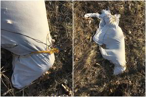 Vilniaus pakraštyje prie geležinkelio bėgių – šiurpus radinys